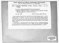 Image Associated With the Occurence